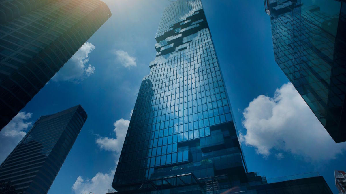 MSN Accounting Services (1)